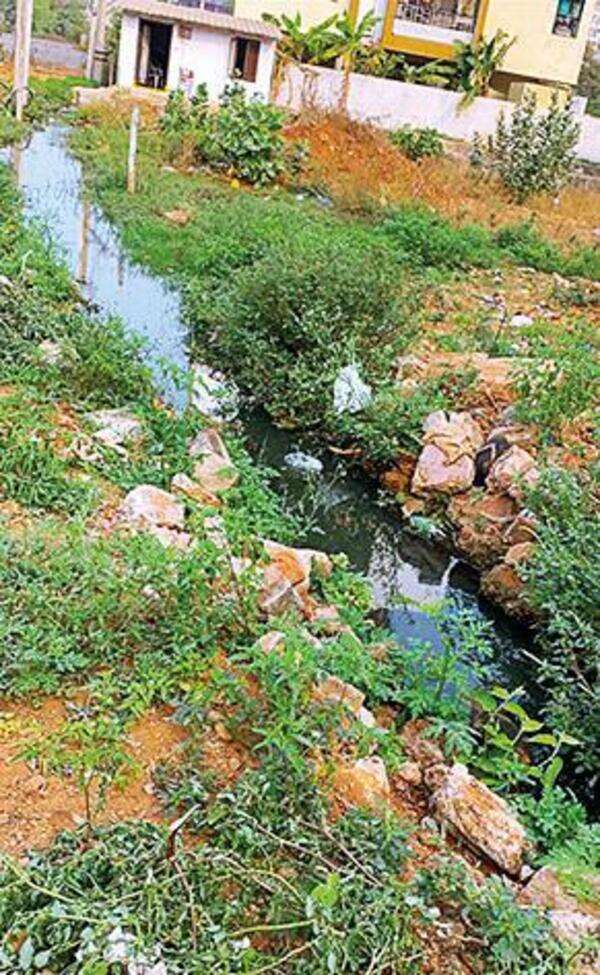 Visakhapatnam: Mubarak Colony residents miffed over drains clogged with debris