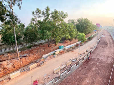 Metro to cut 768 trees, High Court approves