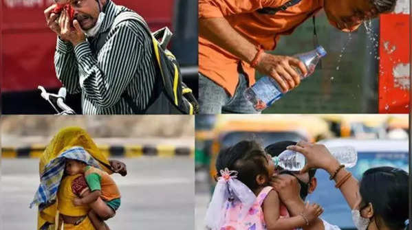 ​Severe heatwave grips parts of North India ​