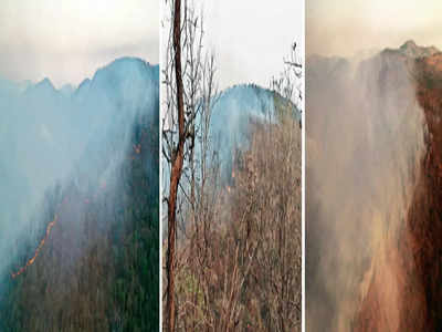 Man-made fire consumes 30 hectares of BRT Tiger Reserve