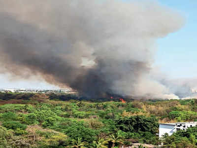 Massive blaze in Kadugodi forest, smoke all around