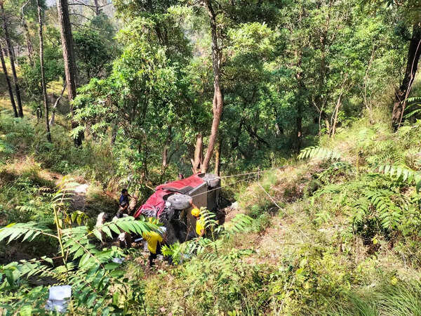 Family of 4, driver on way to Kainchi dham killed after car falls into gorge