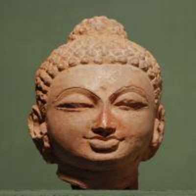 Seeking Buddha in Gujarat