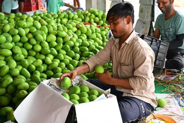 Fuel crisis hits mango exports, shrimp farming in Andhra Pradesh
