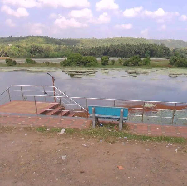 PIL in HC objecting to works at Pat Wetland in Sindhudurg