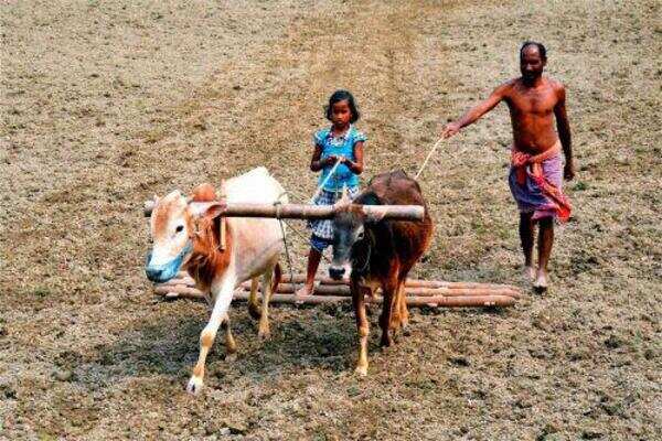 Farmers demand industrial plots for rural youth