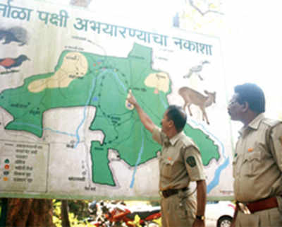 State wildlife board clears three eco-sensitive projects