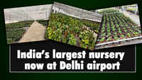 India's largest nursery now at Delhi Airport 