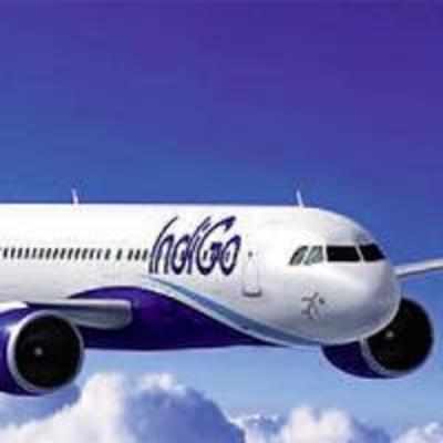 IndiGo signs largest jet order in aviation history