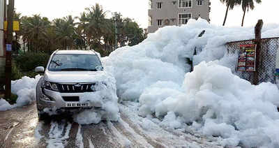 ‘Bellandur lake froth was apartment owners’ fault’