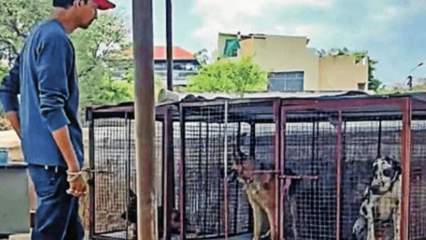 Animal confinement, breeding suspected at Secunderabad cemetery