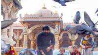 Heritage, food and water walking tours in Walled City are a rage with Amdavadis 