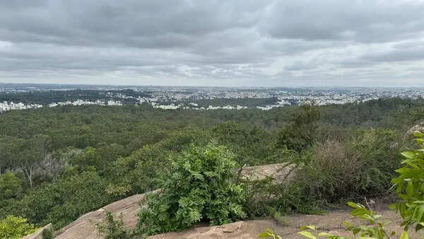 Bangalore Development Authority seeks resolution to Turahalli forest buffer zone deadlock
