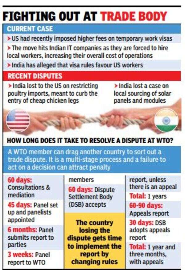 India drags US to WTO over new visa cap, higher fees