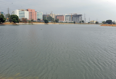 Bengaluru's Kundalahalli Lake dons a new look: It has been revived at a cost of Rs 6 crore