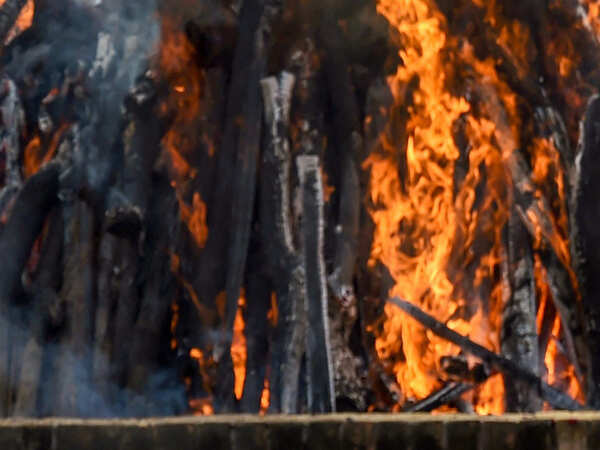 Nearly 4 lakh trees lost to cremations every year, but Delhi finds it tough to make green shift...
