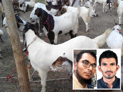 Jobless brothers offer to perform online ‘qurbani’
