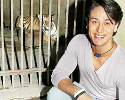 Tiger to hang out with his ‘adopted’ tigress