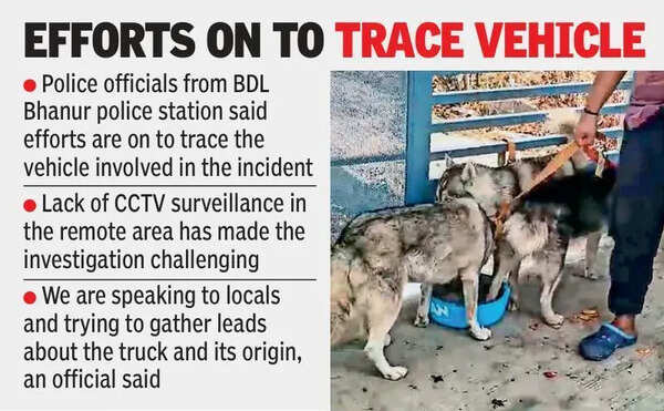Two more Siberian Huskies traced near Patancheru