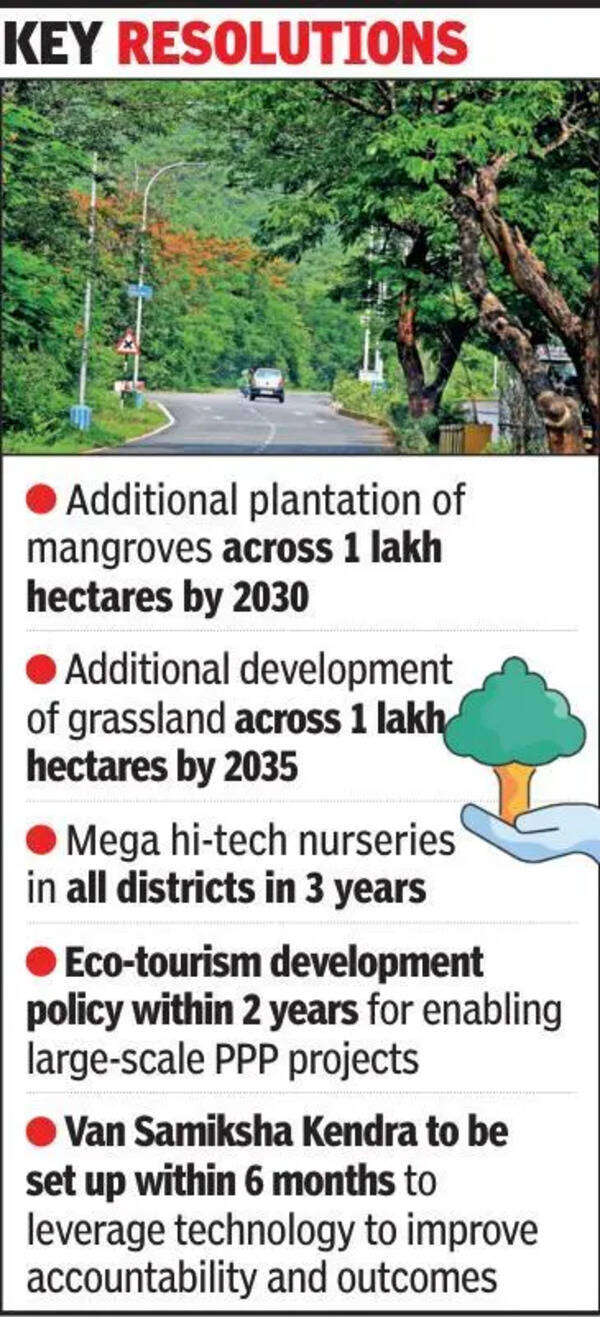 Gujarat eyes 12% jump in green cover
