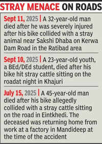 Woman dies after fall as 2 bulls charge at scooter