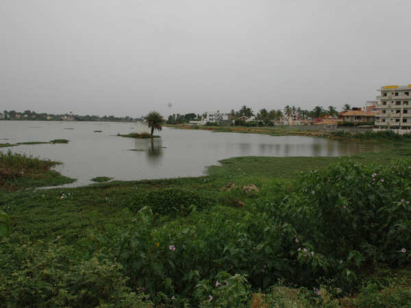 400 birds flock to these man-made lakes in Pune