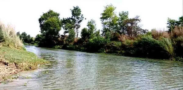 UP’s river revamp bid zeroes in on Chamraura