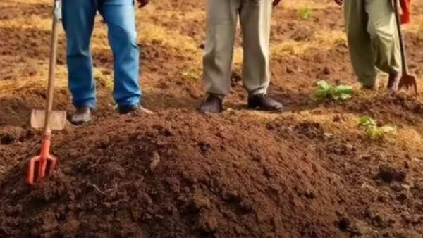 Newlywed woman's body found buried in backyard of in-laws' house in Odisha