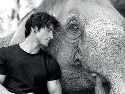 Prep Talk: Vidyut Jammwal on gearing up for his upcoming films, Junglee, Commando 3 and Power