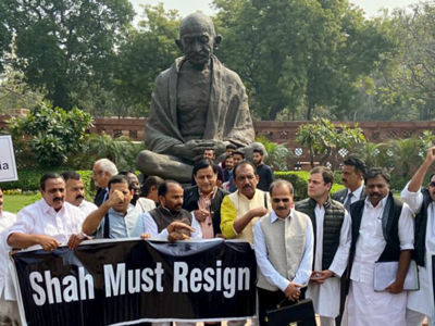 Congress MPs hold protest in Parliament complex over Delhi riots, demand Amit Shah's resignation