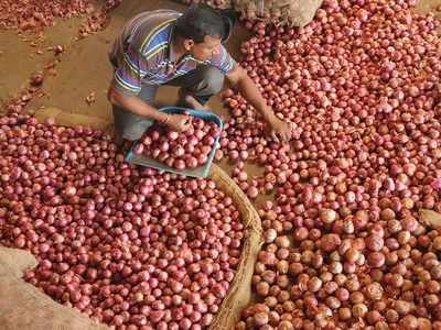Andhra Pradesh government to sell onions at Rs 25 per kg till rates fall in market