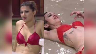Bigg Boss: Bikini babes of the house over the years