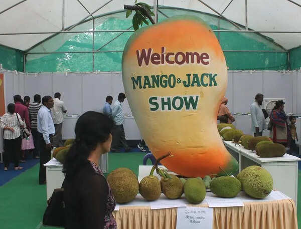 Sweet & staggered: Bengaluru to host not one but many mango melas this year