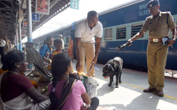 Train travel riskier as crime jumps by 34%