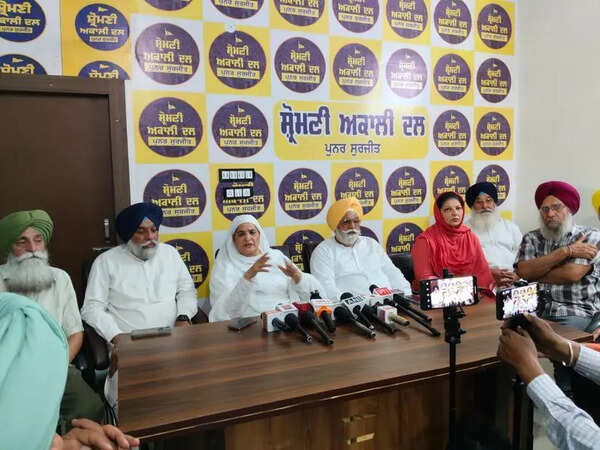 Jagir Kaur questions decisions on alliance by SAD coordination panel