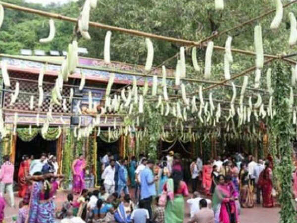 Vijayawada: Shakambari Utsav starts at Kanaka Durga Temple