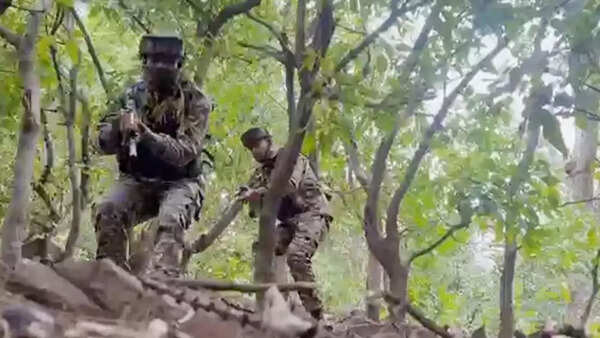 Operation Kiya: Security forces establish contact with terrorists in J&K's Basantgarh, firefight on