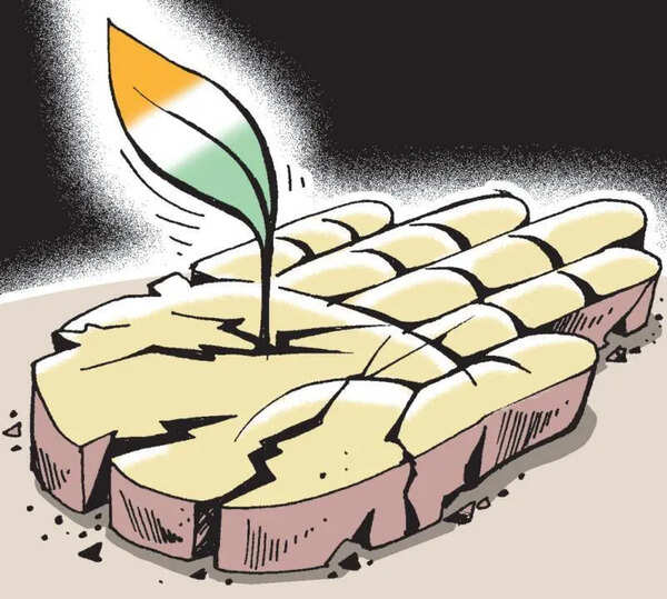From ‘Panna Pramukh’ to ‘booth sevak’: Cong to adopt BJP-style poll strategy in Punjab