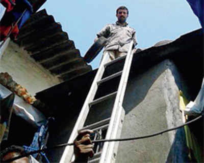 BMC unleashes fish, ladders, larvicide in battle against dengue