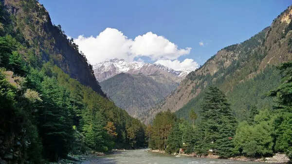 Grahan Kasol hydro project transferred to new firm: Butail to NGT