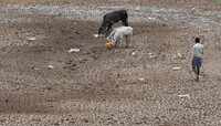 Bengaluru: City faces crisis as reservoir levels go down, lakes dry up 