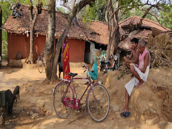 Primitive tribals in Dumka torn between Shibu and BJP