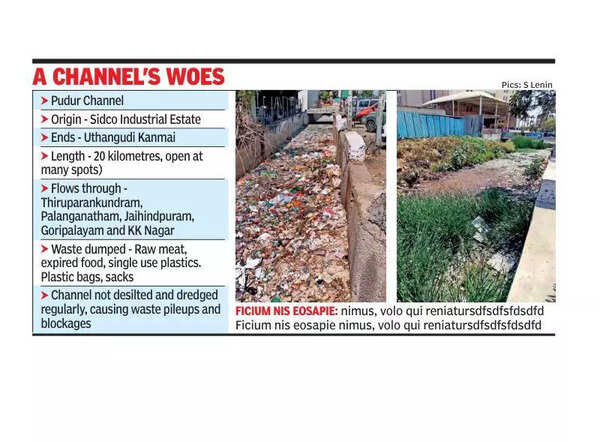 4 mths on, Pudur channel is waste dump zone again