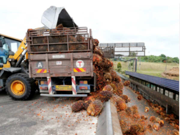 In retaliation for Jammu and Kashmir stand, traders shun palm oil from Malaysia