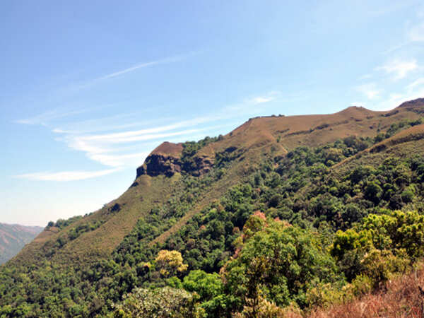 Western Ghats stares at a green crisis