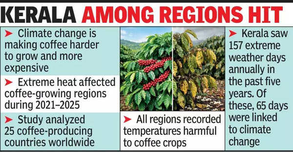Climate change affecting coffee crop: Study