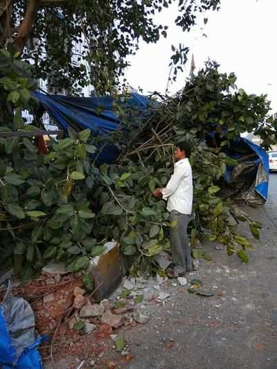 Powai: Trailer carrying iron rods rams into Maruti Mandir; beggars miraculously escape