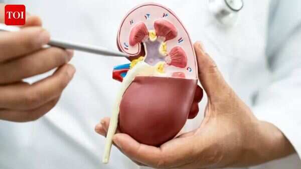 Pregnancy found growing near kidneys in rare medical case