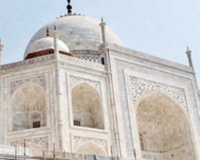 Pollution not turning Taj Mahal yellow, govt tells Parliament
