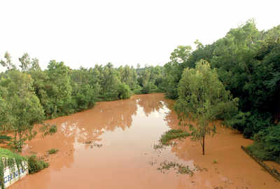 A river runs through it: Long lost Arkavathi is born again